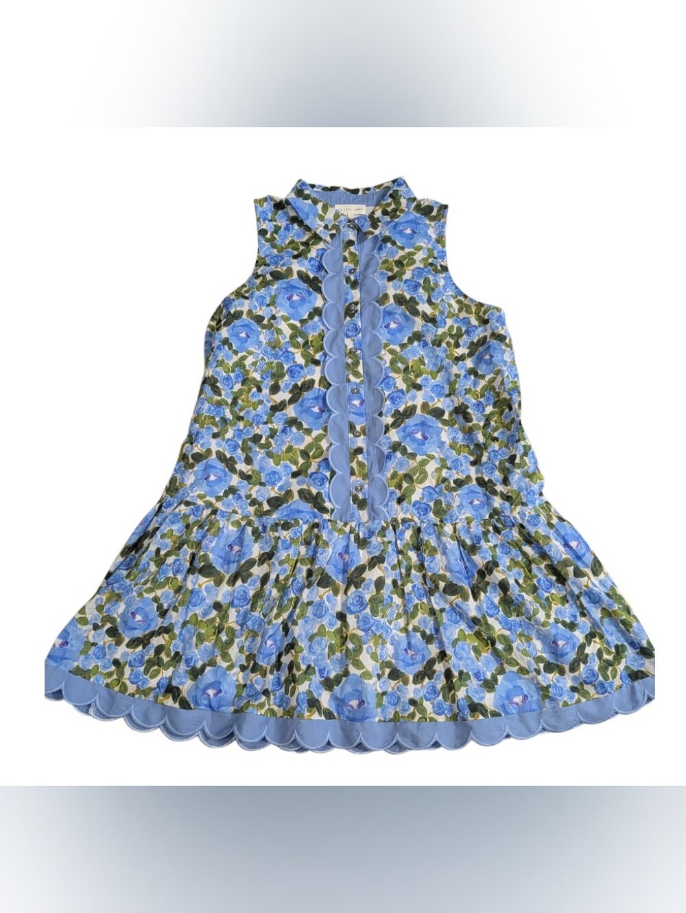 Entro Women's Blue Floral Button-Front Mini Shirt Dress Ruffle Trim SZ M EUC - Picture 2 of 8